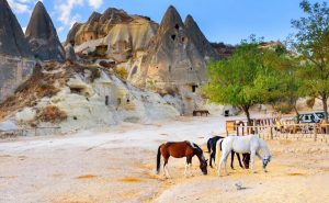 Doğa ve tarihin uyumu: 'Güzel Atlar Ülkesi’ Kapadokya