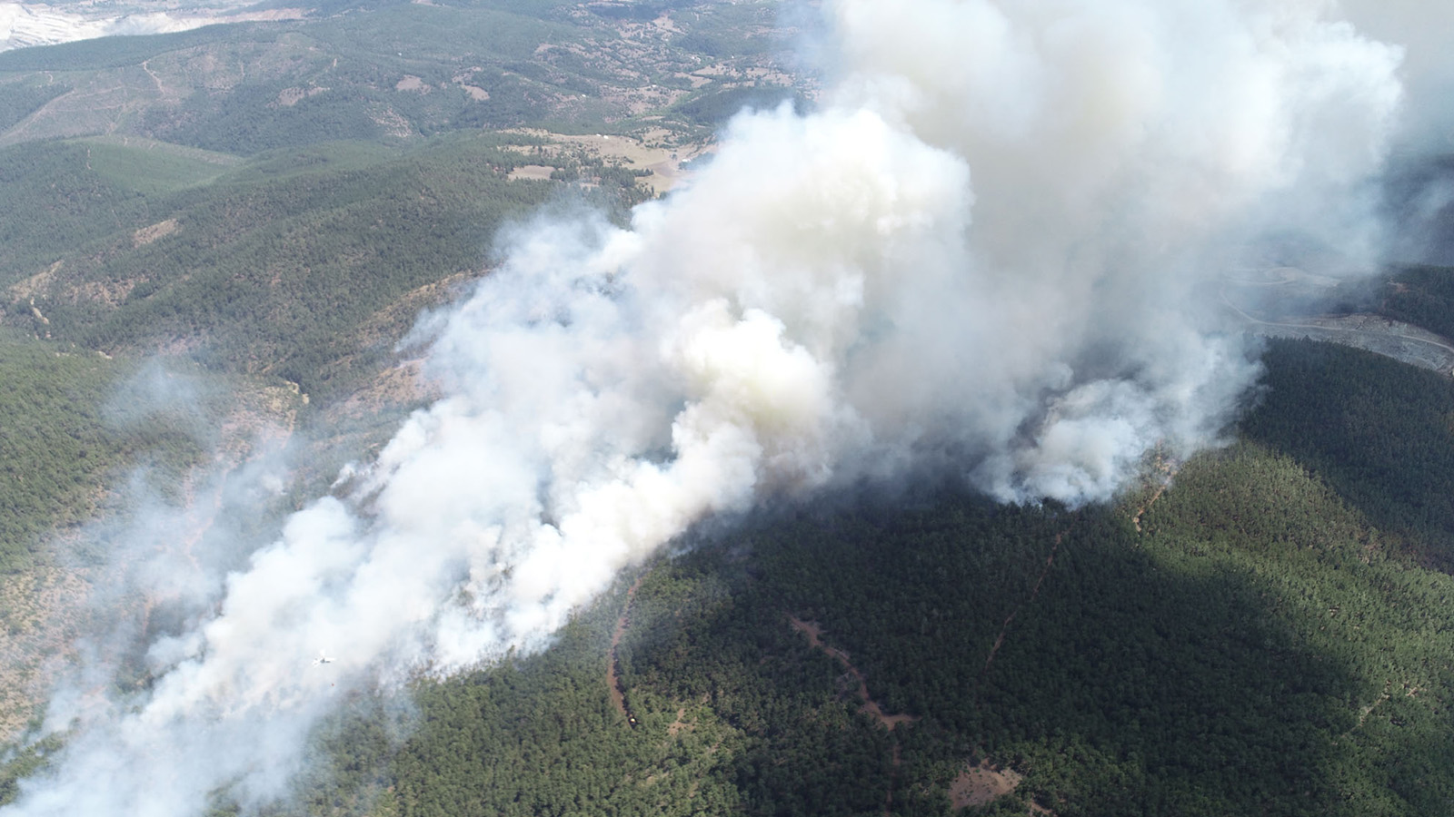 Bursa'da dokuz farklı noktada orman yangını!