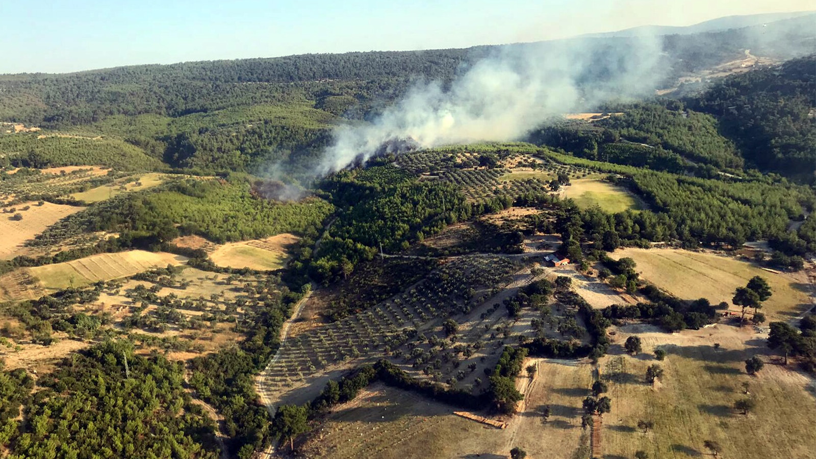 Bergama'da 3 buçuk hektarlık ormanlık alan yandı