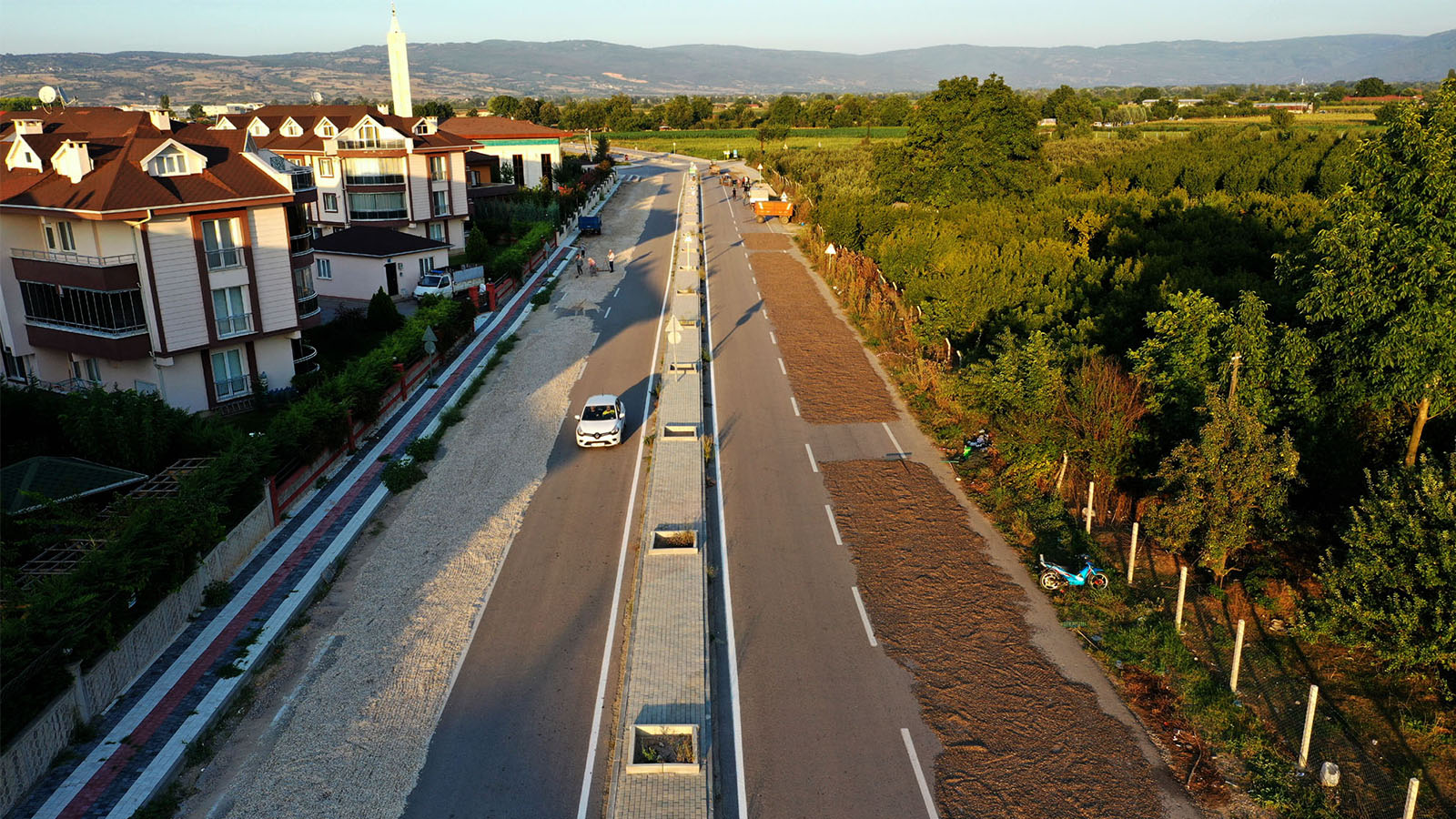 Bir şerit ay çekirdeği, bir şerit trafik: Çekirdeği kurutmak için çevre yolunu kullandılar