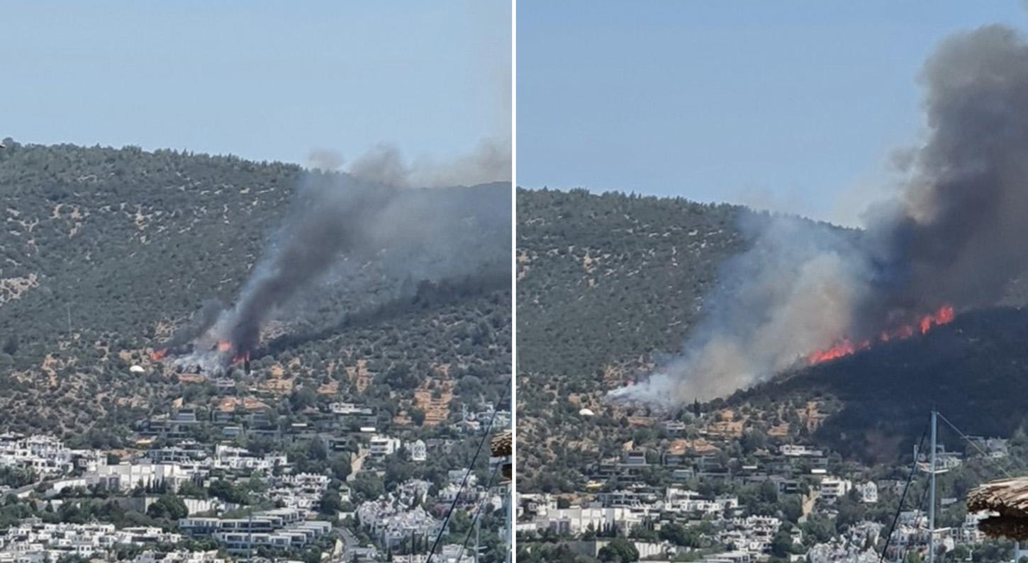 Bodrum'da Orman Yangını Çıktı!