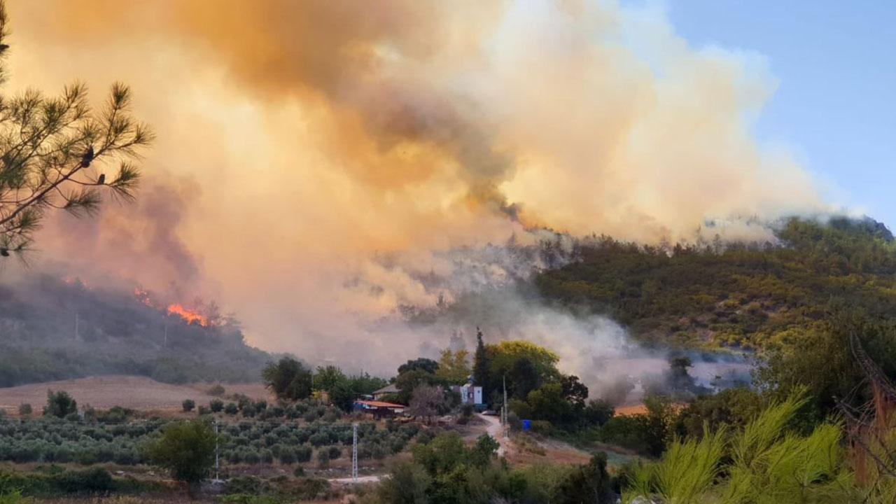 "2021'in Temmuz'u orman yangınları açısından en berbat aydı"