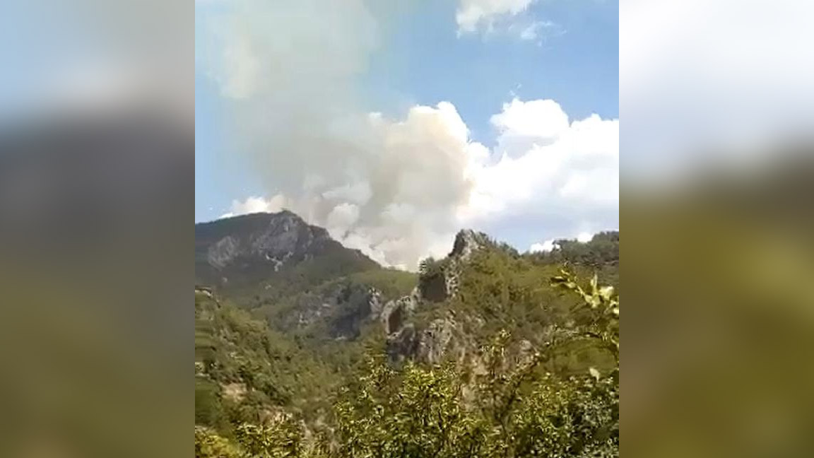 Alanya'da orman yangını