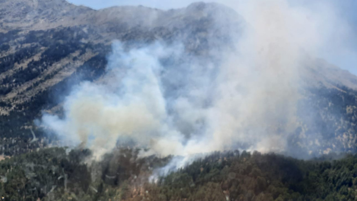 Antalya ve Çanakkale'de orman yangını