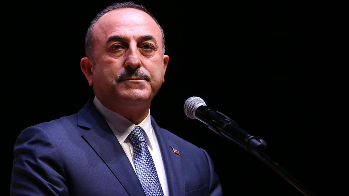 Bakan Çavuşoğlu, İspanyalı mevkidaşı Albares ile görüştü; yangın söndürme uçağı için teşekkür etti