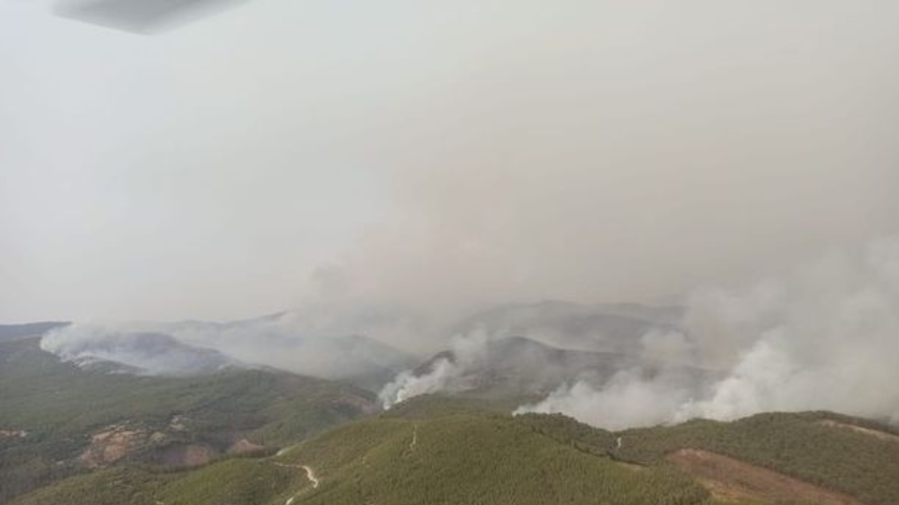 Bakan Ersoy: Marmaris’teki yangınlar büsbütün denetim altına alındı