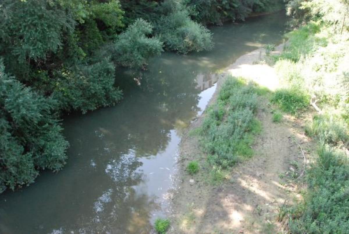 BARTIN'DA BALIK ÖLÜMLERİNE KARŞI SU TAKVİYESİ