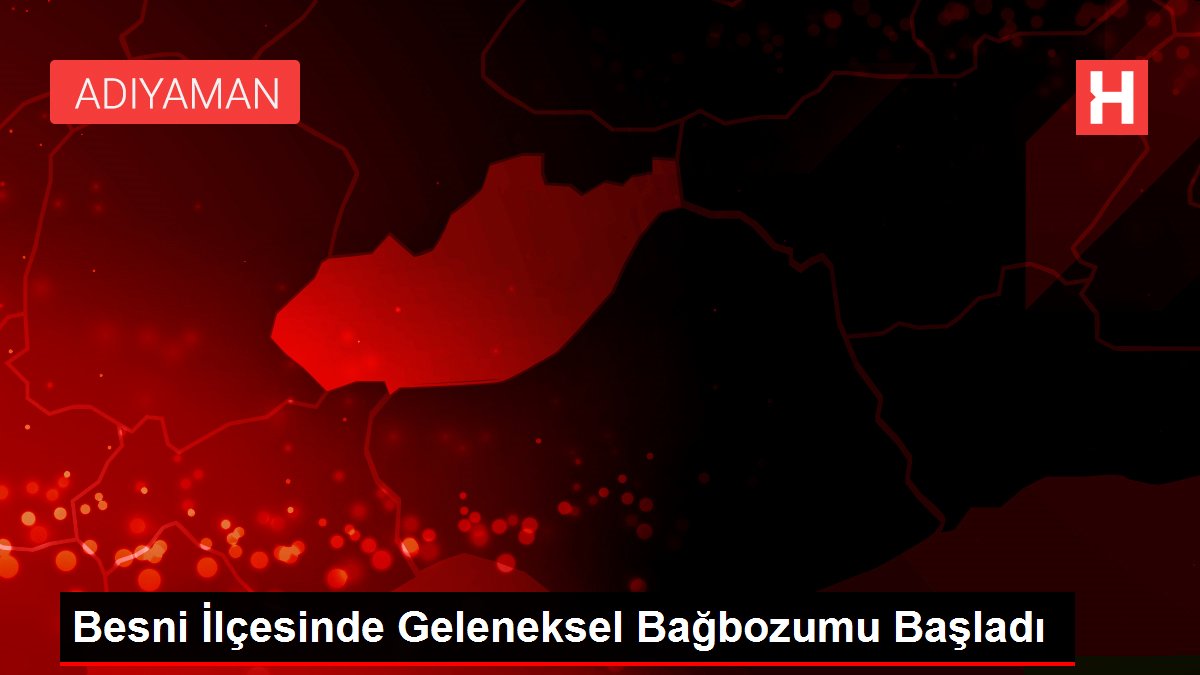 Besni İlçesinde Klasik Bağbozumu Başladı