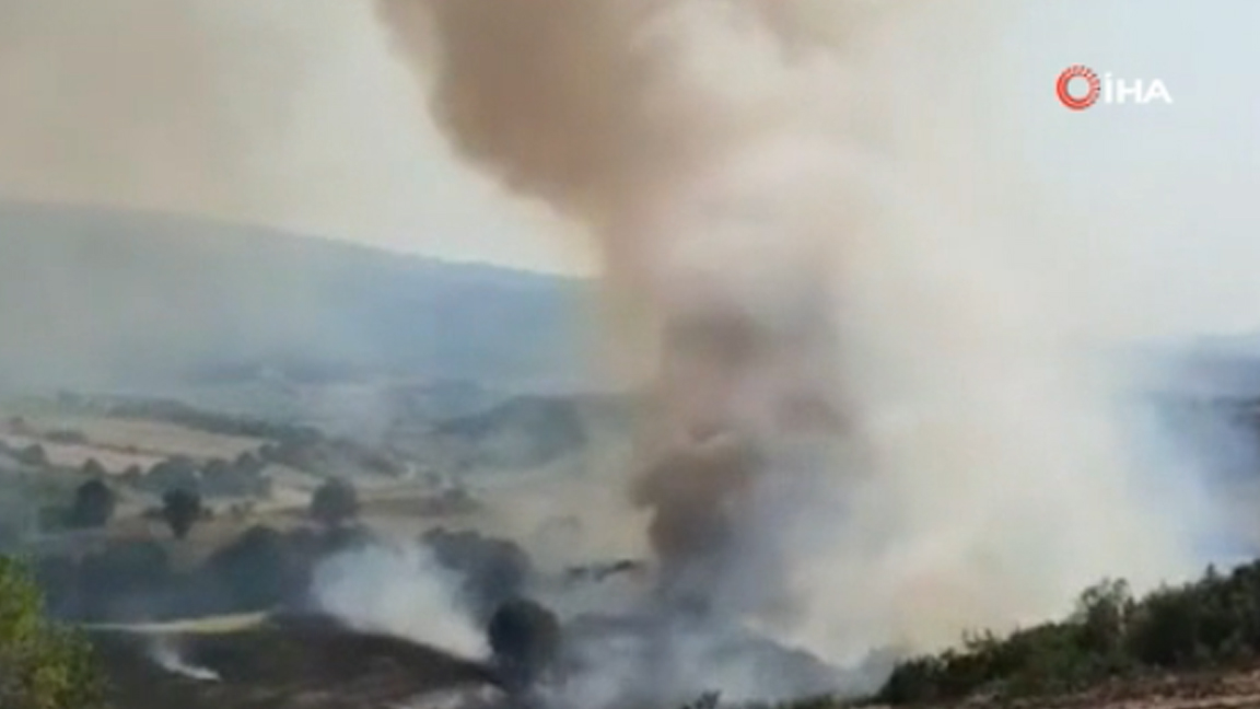 Bursa'da ayçiçeği tarlasındaki yangın ormanlık alana sıçradı