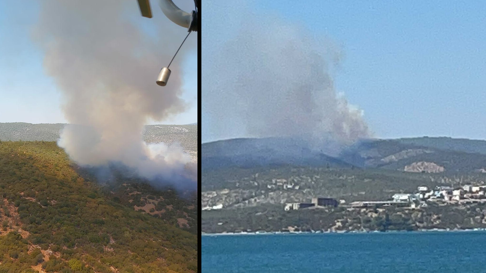 Milas'ta orman yangını