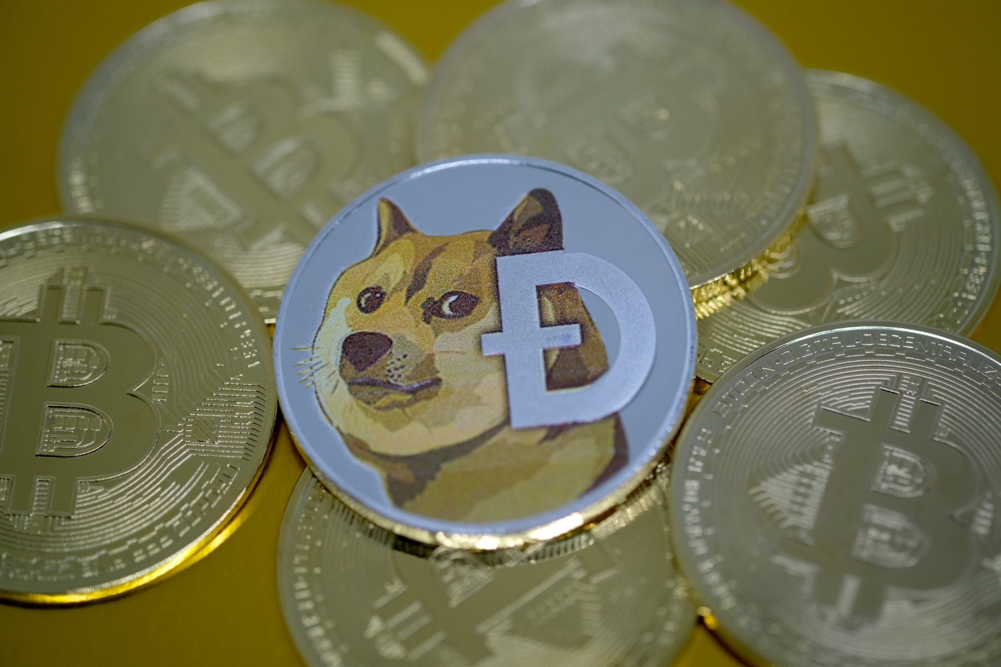 Popüler İsme Göre Dogecoin (DOGE), Birçok İnsanın Bitcoin’e (BTC) Girmesini Sağladı