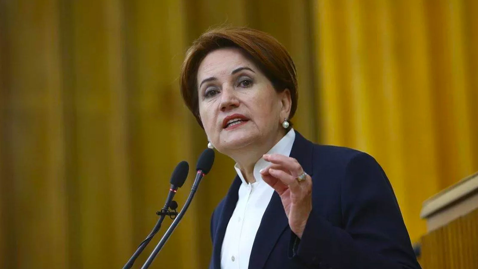 Akşener: Merkez Bankası liderleri Erdoğan sayesinde mevsimlik personel oldular