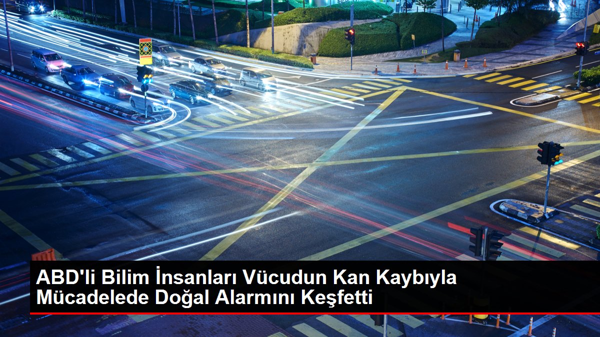 ABD'li Bilim İnsanları Bedenin Kan Kaybıyla Gayrette Doğal Alarmını Keşfetti