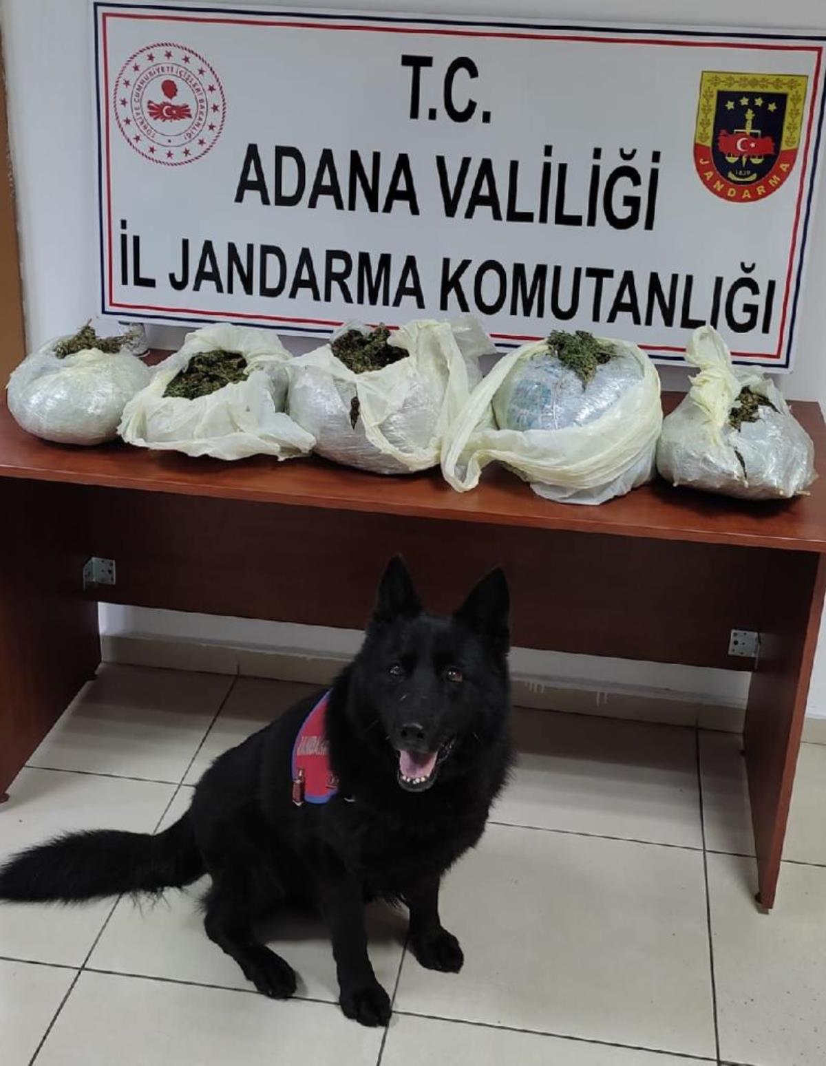 Adana'da 7 kilo 904 gram esrar ele geçirildi