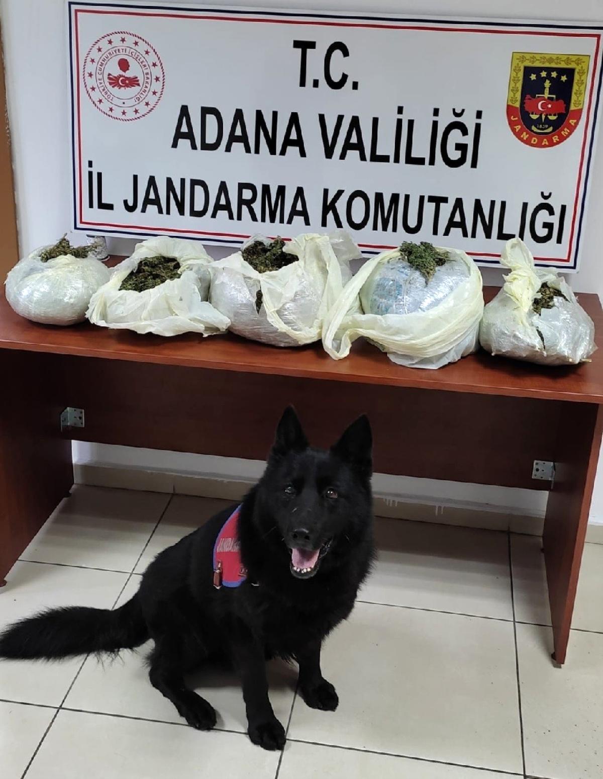 Adana'da uyuşturucu operasyonu: 1 gözaltı