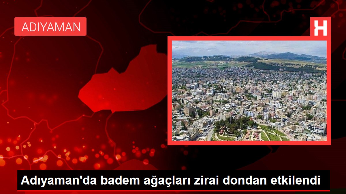 Adıyaman'da badem ağaçları zirai dondan etkilendi