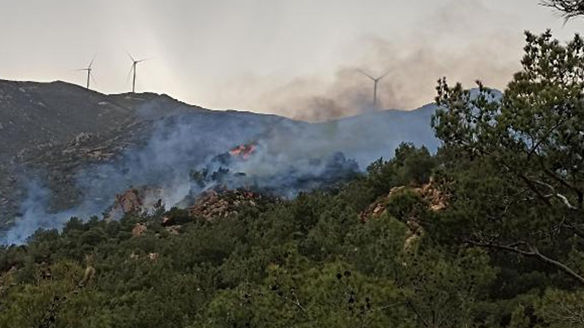 Bodrum'da yangın tekrar başladı