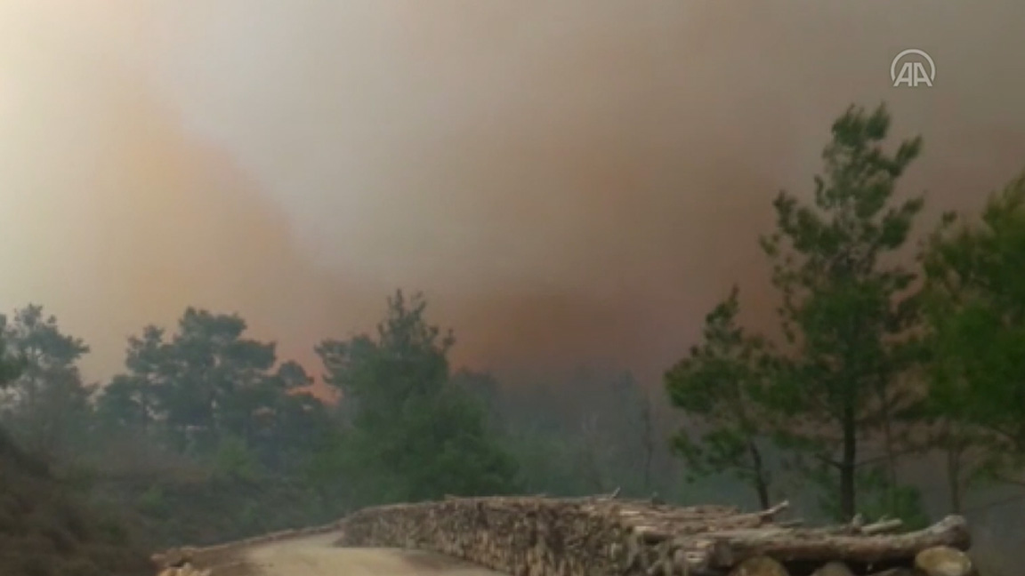 Çanakkale'de orman yangınına müdahale ediliyor