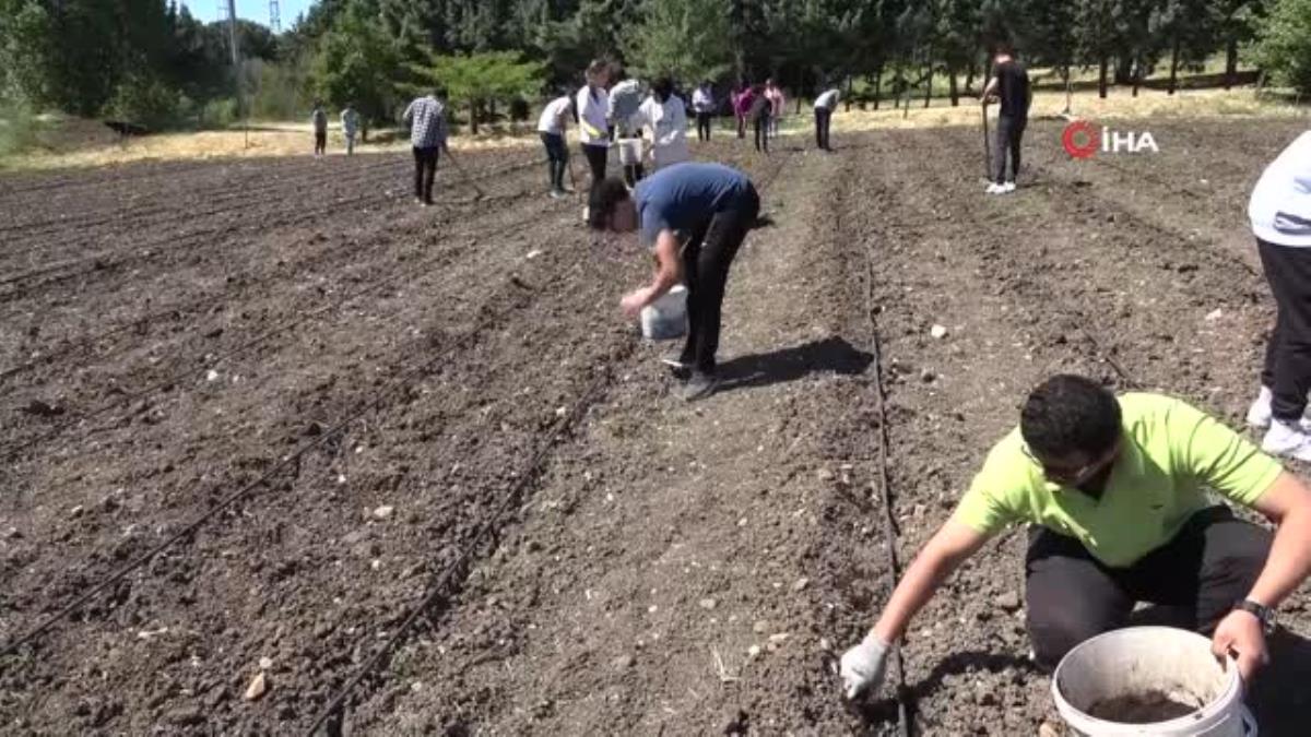 3 bin kilometre uzaktan yanlışsız tarım için geldiler