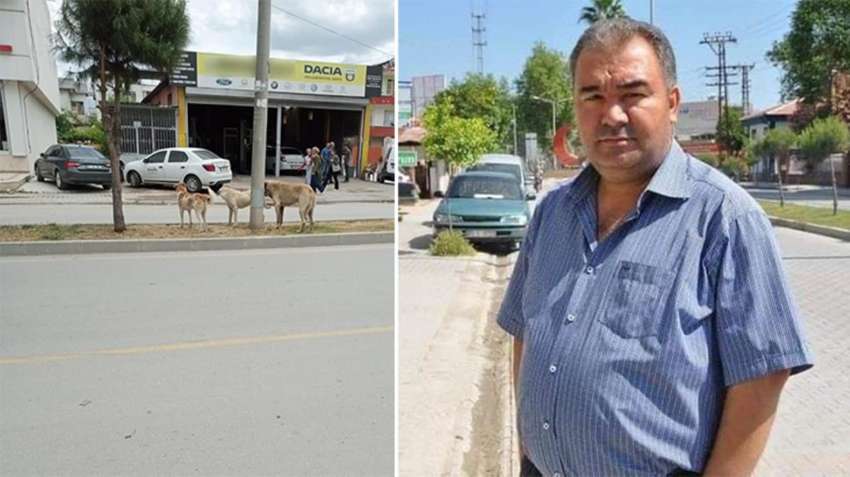 Adana Ceyhan'da köpeklerden kaçarken düşüp beyin kanaması geçiren adam öldü