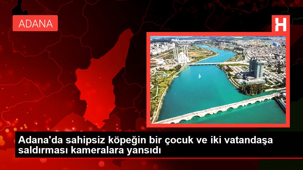 Adana'da sahipsiz köpeğin bir çocuk ve iki vatandaşa saldırması kameralara yansıdı