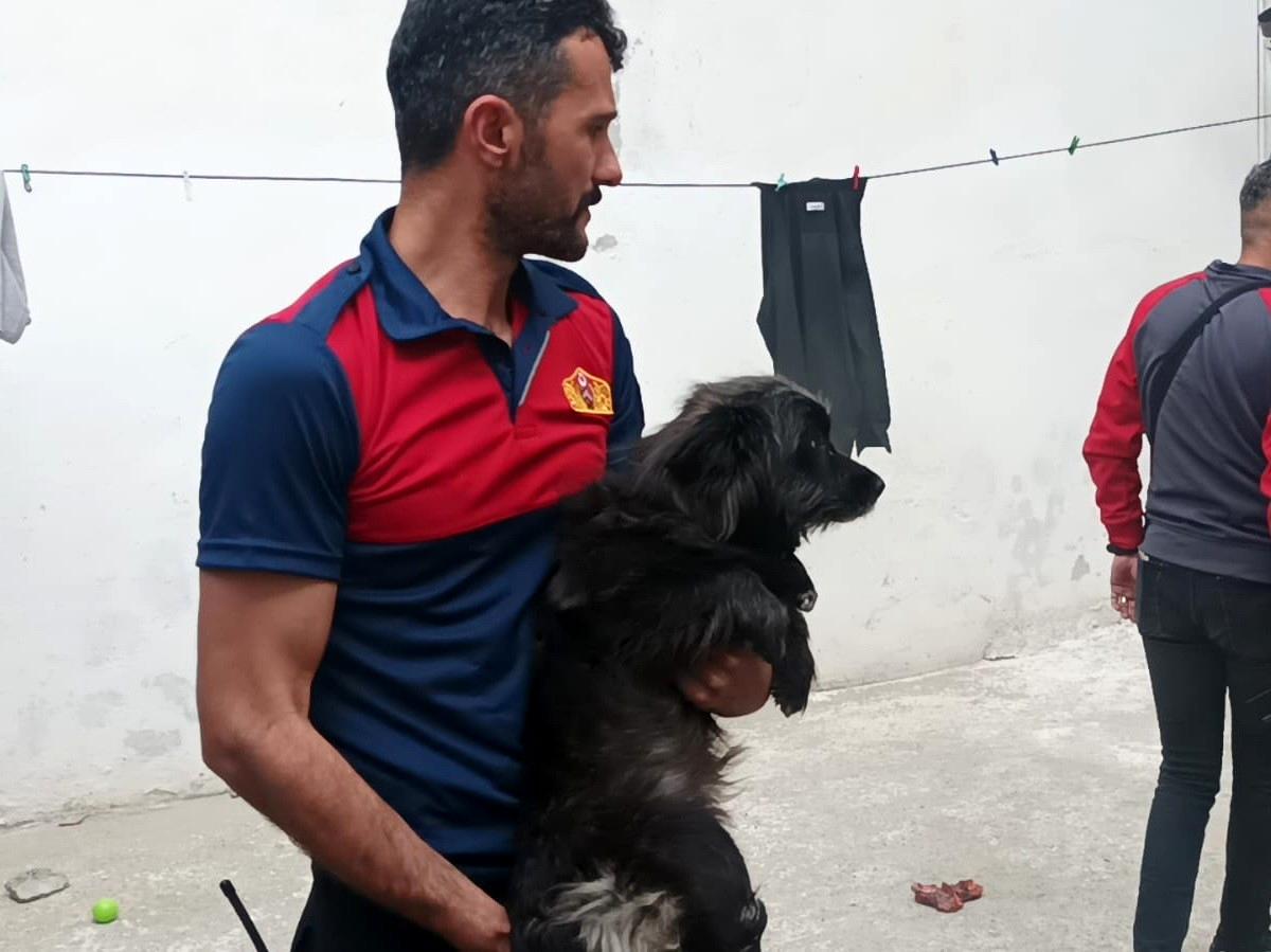 Alevler ortasında kalan köpek son anda kurtarıldı