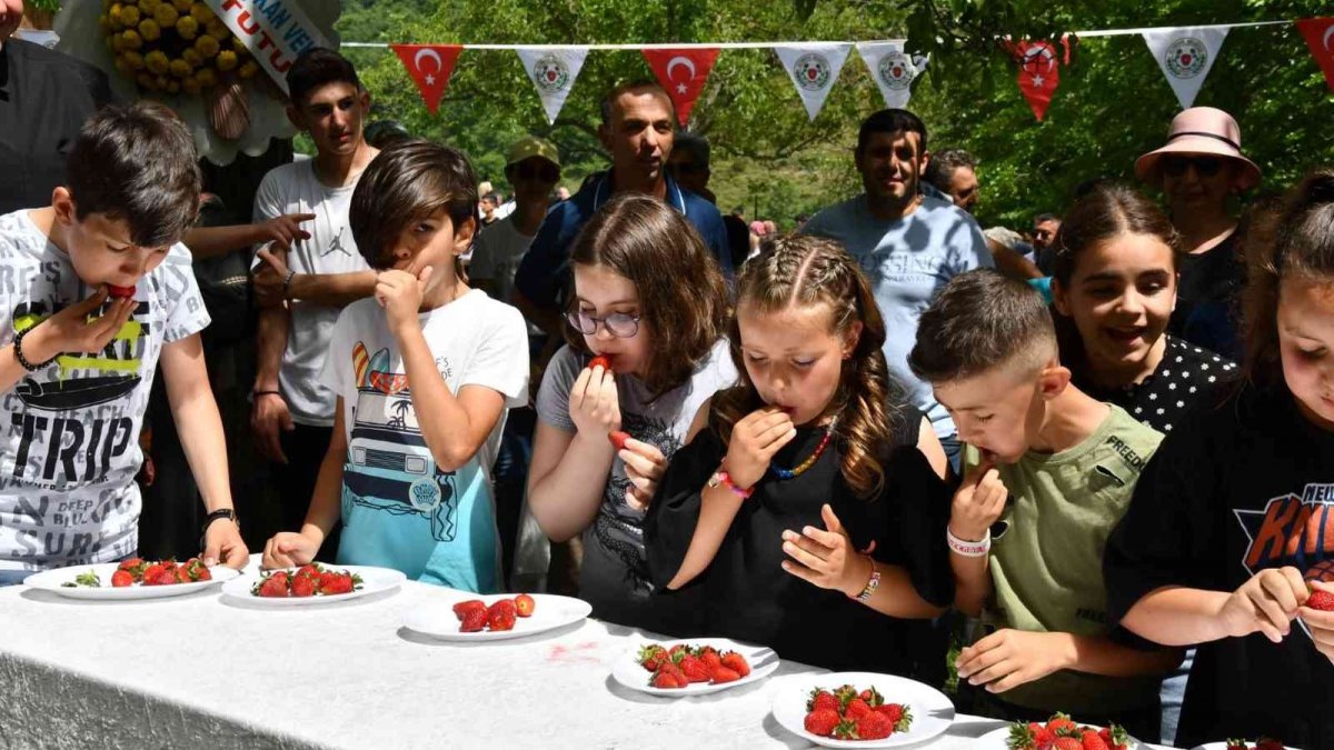 Altınova’da çilek tadında festival