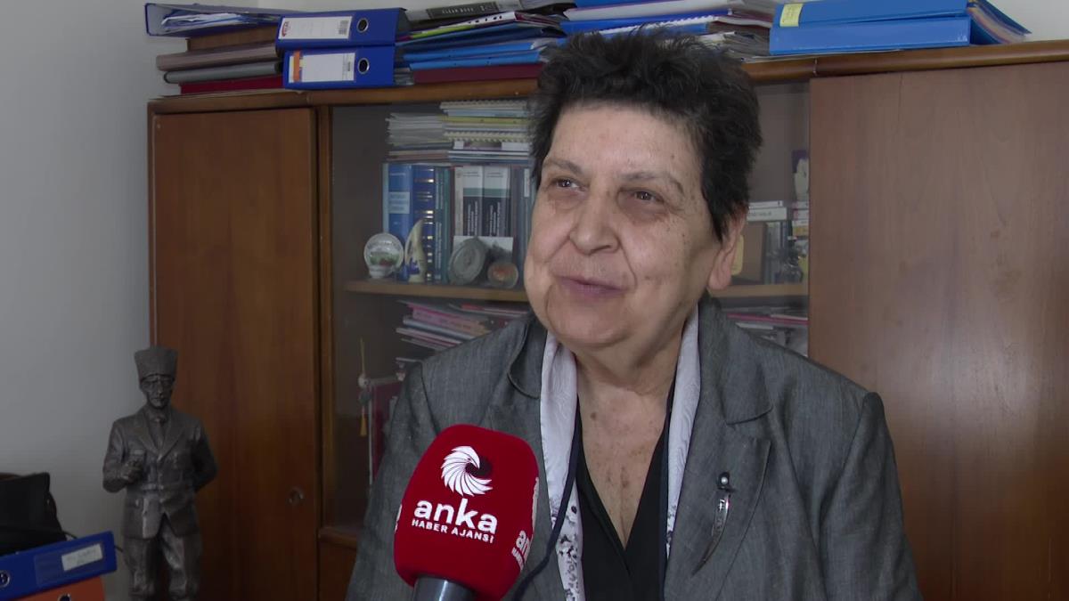 Ankara Barosu Başkanlığına Adaylığını Açıklayan Şenal Sarıhan: "'bana Dokunmayan Yılan Bin Yaşasın' Diye Bakamayız"