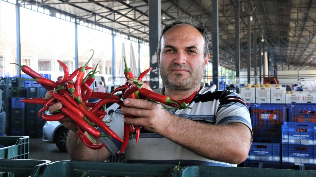 Antalya halinde sebze fiyatları yarı yarıya düştü