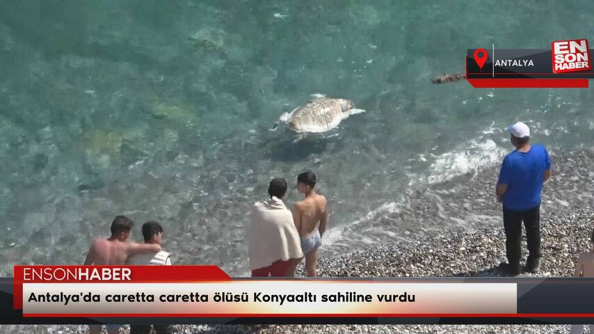 Antalya'da caretta caretta ölüsü Konyaaltı sahiline vurdu