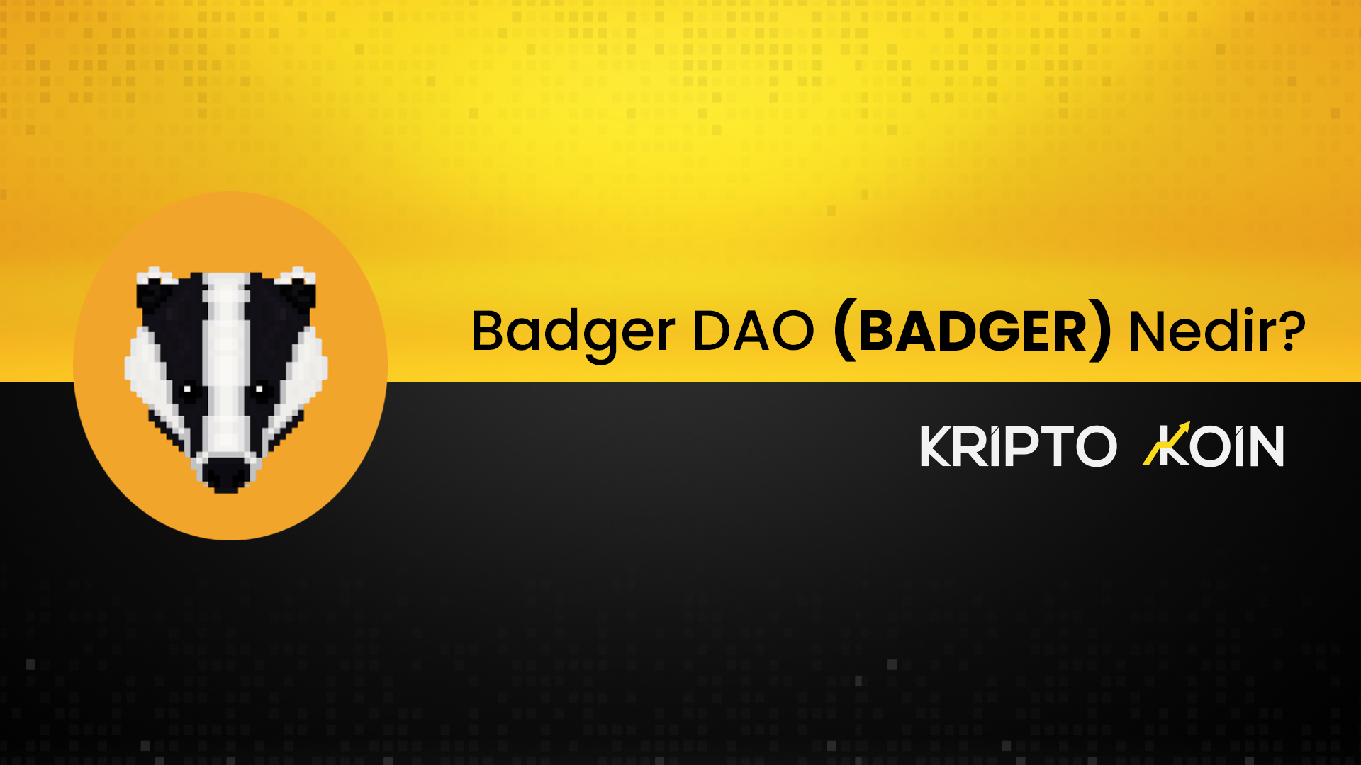 Badger DAO Nedir? BADGER Coin Nasıl Alınır?