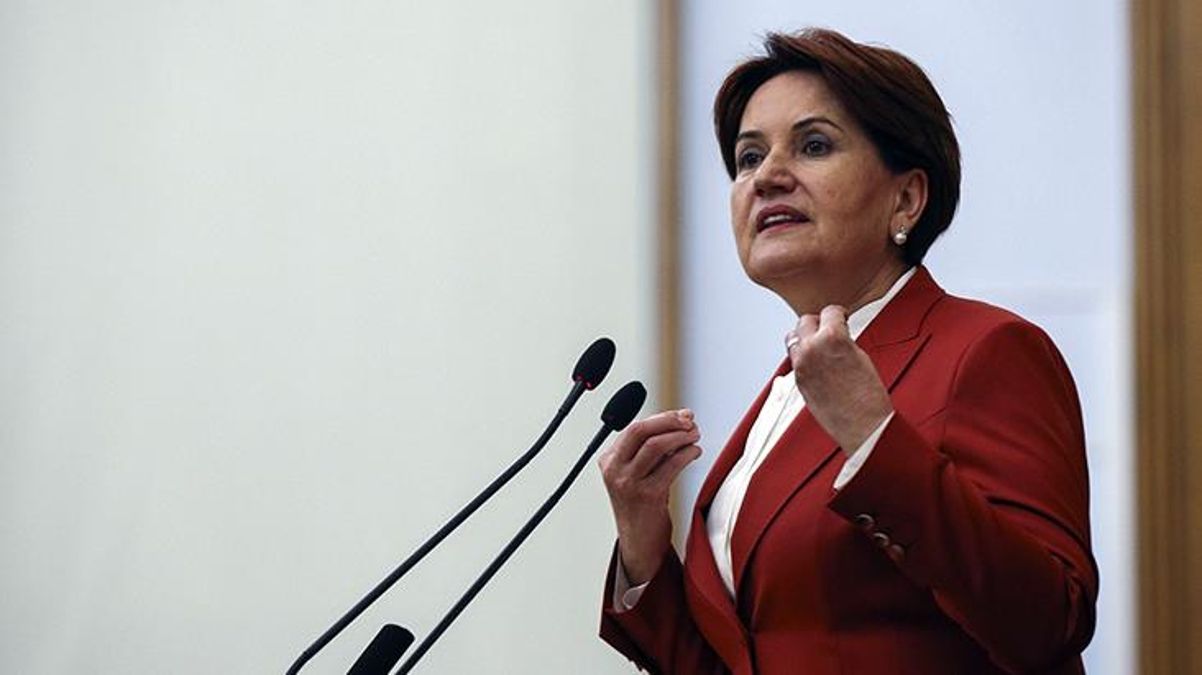 Akşener'den Erdoğan'ın seyahat parkı hareketçilerine yönelik kelamlarına reaksiyon: Sandık geldiğinde bu istibdata son vereceğiz