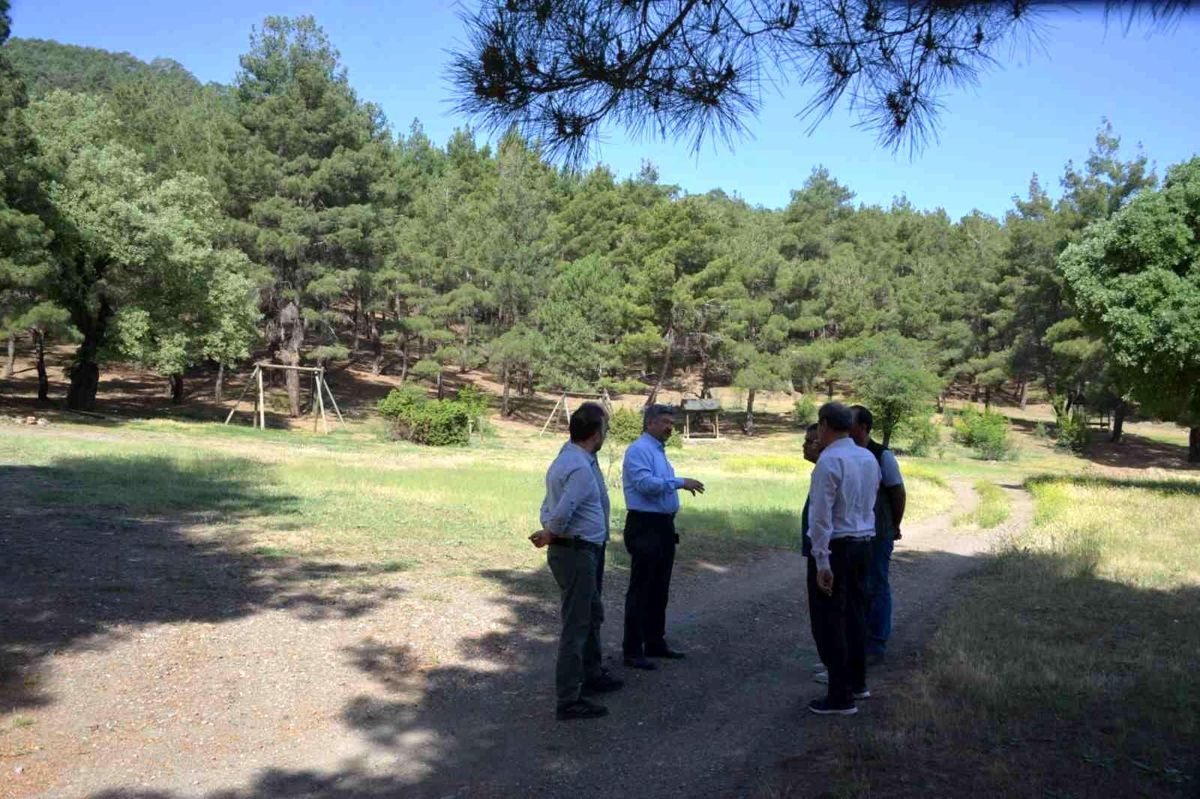 Gediz'de piknik alanı yine düzenleniyor