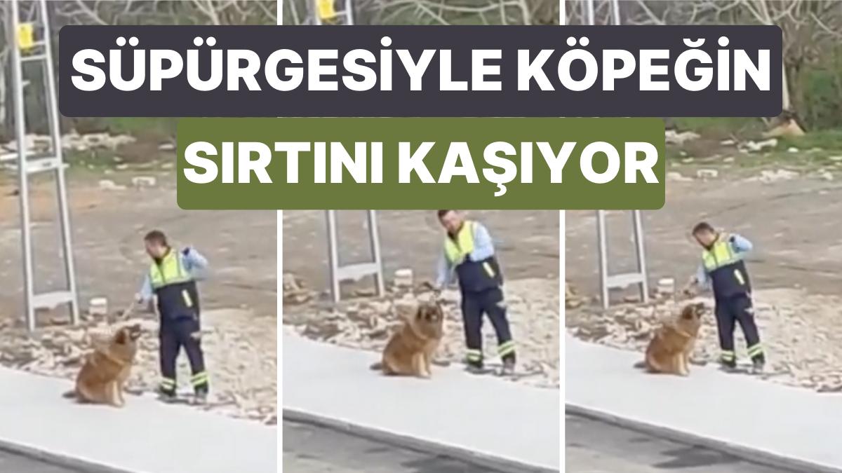 Bir Belediye Çalışanı ile Sokak Köpeğinin Kalplerinizi Isıtacak Dostluğu