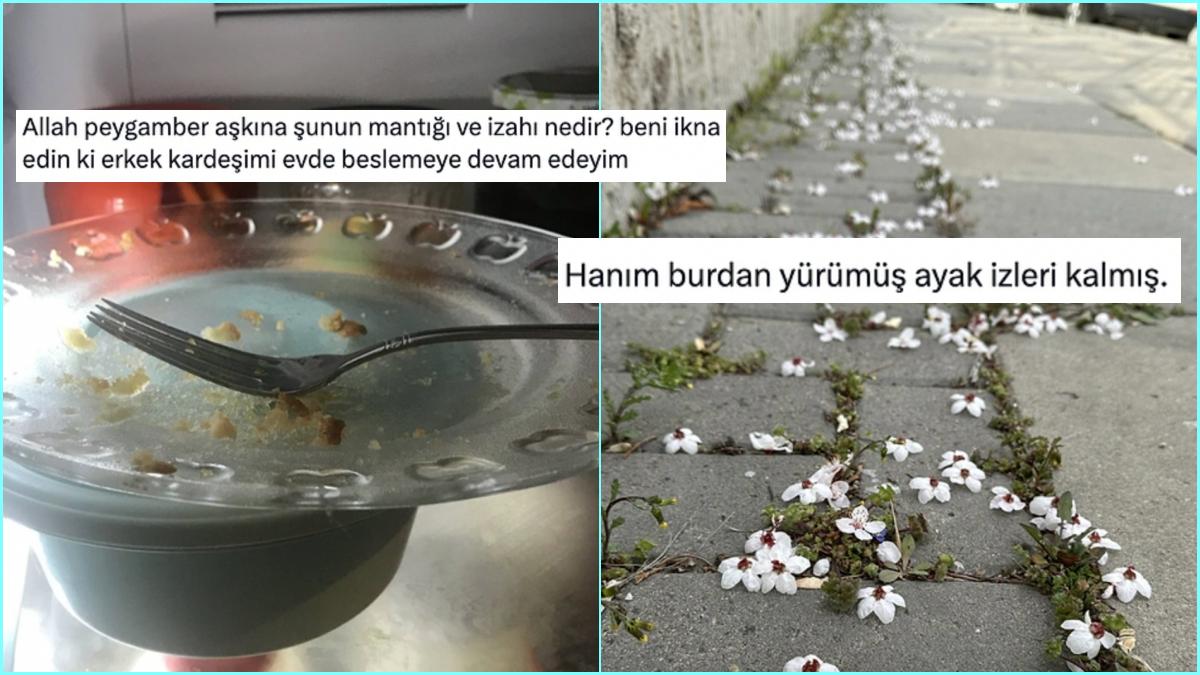 Erkek Kardeşini Evcilleştiremeyen Sıkıntılı Abladan Hanımcılıkta Çığır Açanlara Son 24 Saatin Viral Tweetleri