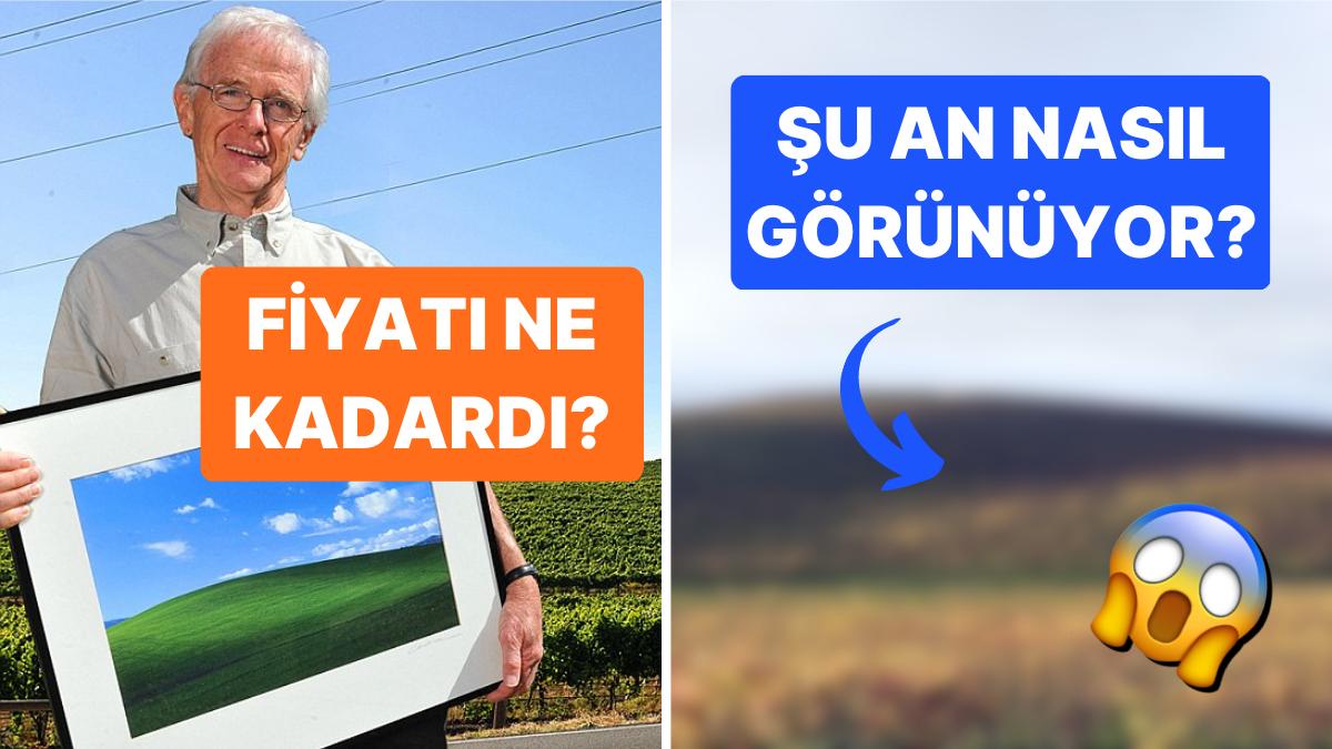 Görmeyen Yoktur! Dünyanın En Ünlü Görünümü Olan Windows XP Masaüstü Fotoğrafının Enteresan Öyküsü