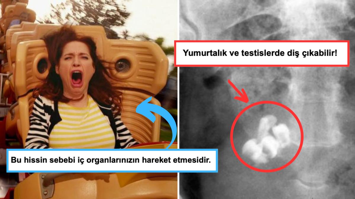 İnsan Bedeni Hakkında Farklı Olduğu Kadar Bilmek İstemeyeceğiniz Kadar Müthiş Bilgiler