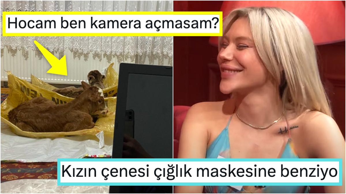 Flörtüne 3 Saat Sonra Yanıt Veren Adamdan Pembe Renginin Dişil Güce Tesirine Son 24 Saatin Viral Tweetleri