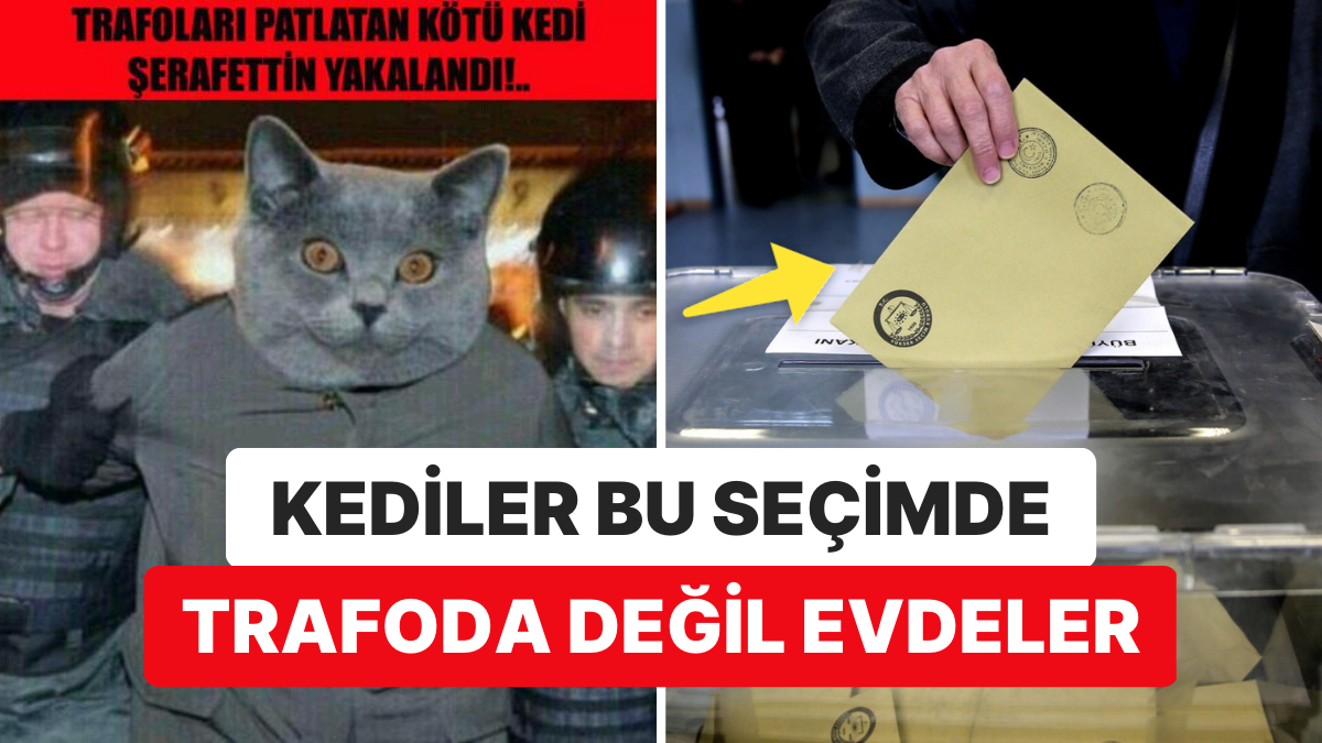 14 Mayıs'ta Kediler Trafoda Değil Meskende: İBB Lideri Ekrem İmamoğlu Sandık Güvenliği Davetini Yineledi!