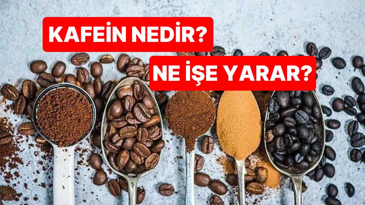 Anksiyete ve Huzursuzluk Yaşıyorsanız Sebebi Kafein Olabilir! Yararları ve Zararlarıyla Kafein Nedir?