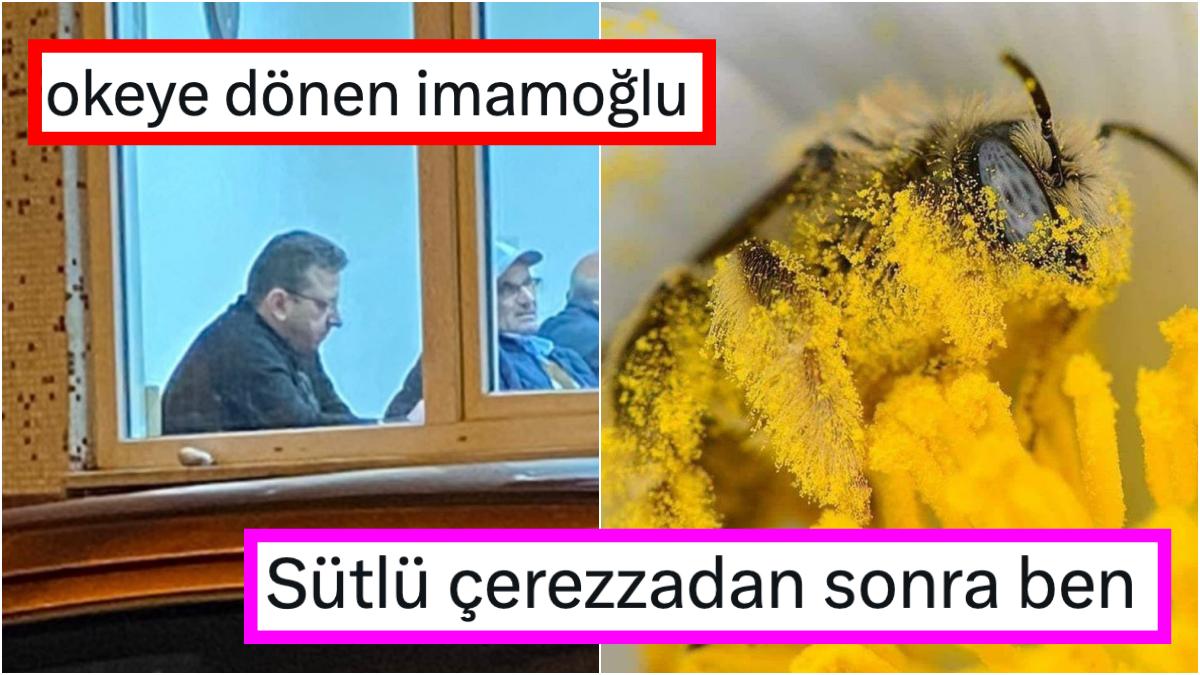 Ayrılmak İsteyen Manitasına Yanıtıyla Şaşırtandan Metrobüste Tavşan Sahiplenene Son 24 Saatin Viral Tweetleri