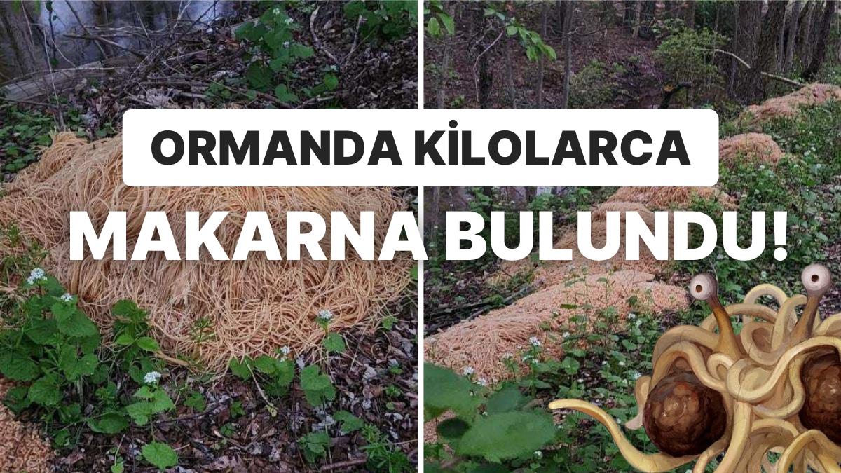 Belediye Lideri Umursamamış: Ormanlık Alanda Bulunan 230 Kiloluk Gizemli Dev Makarna Yığını Gündemde!