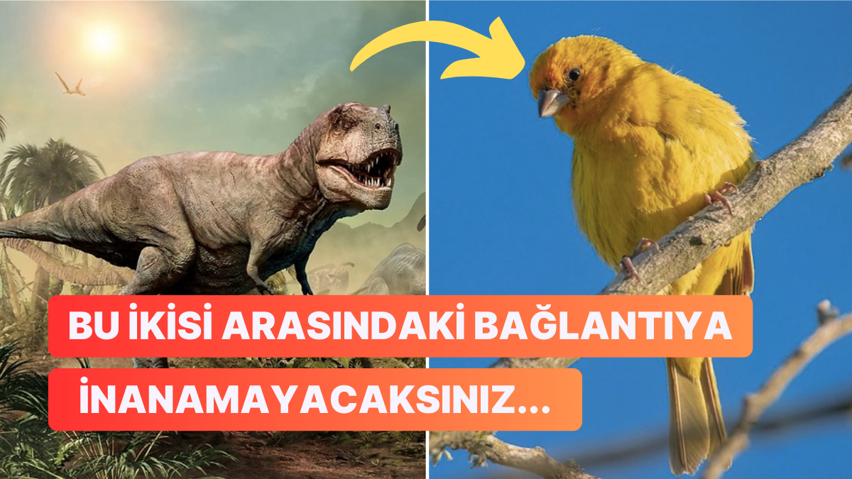 Bilim İnsanları Açıkladı: Şayet Dinozorlar Günümüzde Yaşasaydı Hayatta Kalabilirler miydi?