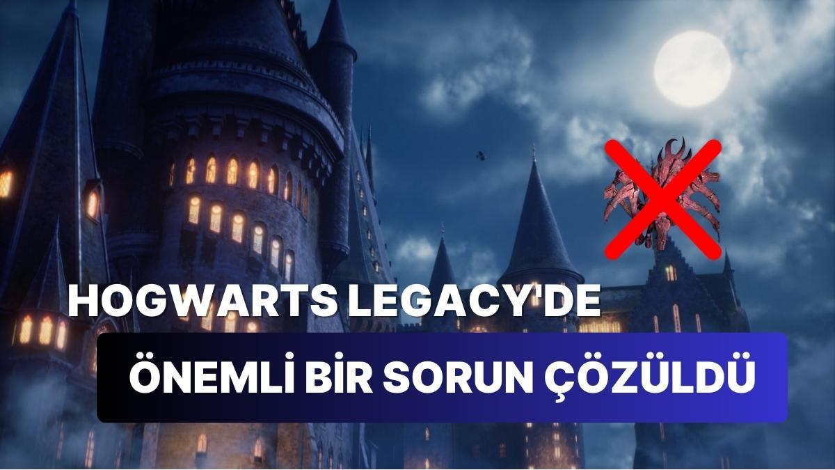 Hogwarts Legacy'e Gelen Arachnophobia Modu Çok Şükür Dedirtti