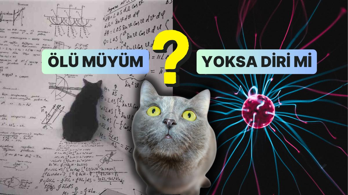 Saç Baş Yolduran Teorilerle Tanınan Kalarak Kuantum Deyince Birinci Akla Gelen Deney: Schrödinger'in Kedisi