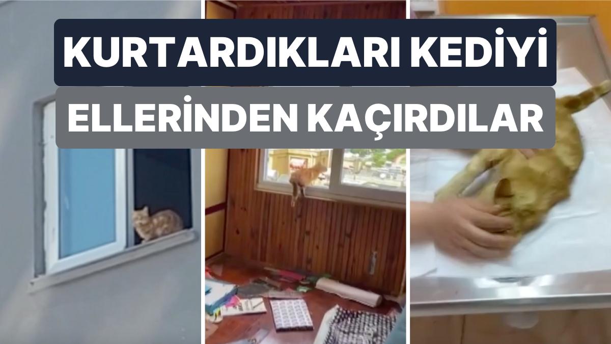 Yıkılacak Bir Binanın En Üst Katında Mahsur Kalan Kediye Kurtardıktan Sonra Tekrar Ellerinden Kaçırdılar