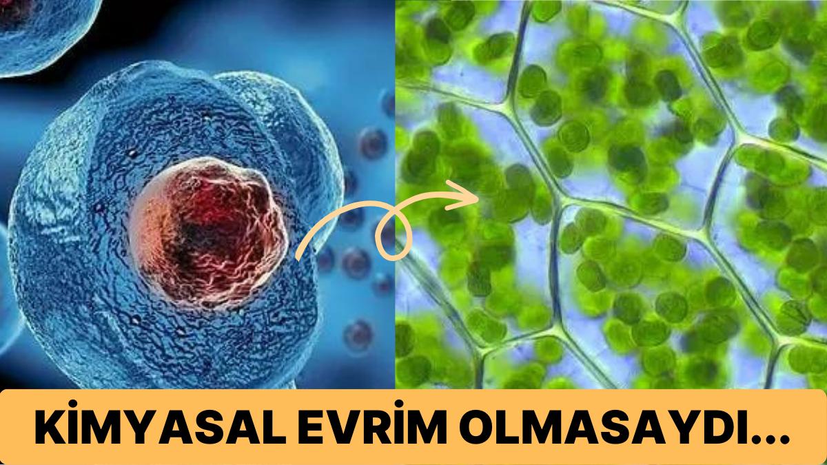 Evrimin Seyahatine Büyük Bir Adım: Birinci Hücrenin Büyüleyici Yapısı ve Kıssası