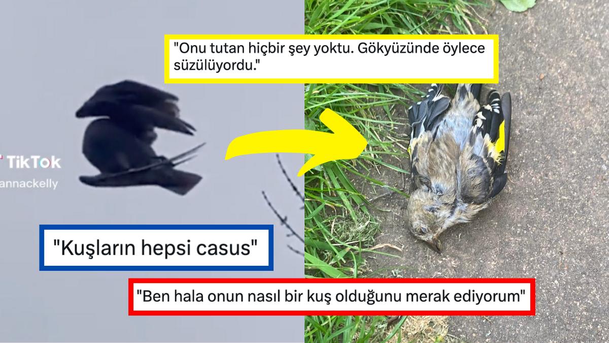 Gökyüzünde Süzülen Meyyit Kuşun Akıllara Sakinlik Veren Görüntüsü Toplumsal Medyada Gündem Oldu!