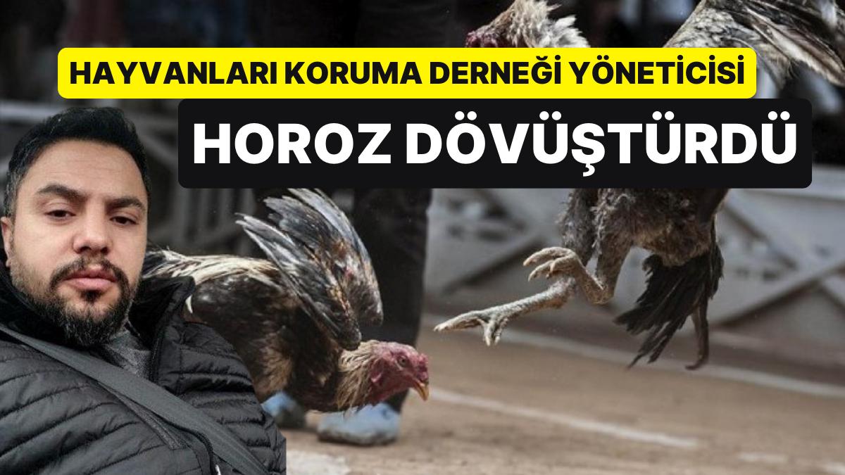 Hayvanları Muhafaza Derneği Yöneticisi Horoz Dövüşünde Basıldı