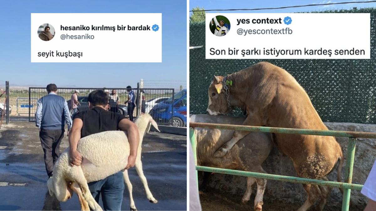 Kızılcık Şerbeti Kurban Özel Kısımdan Koyunu Sırtlayan Ağabeye Kadar Son 24 Saatin Viral Tweetleri